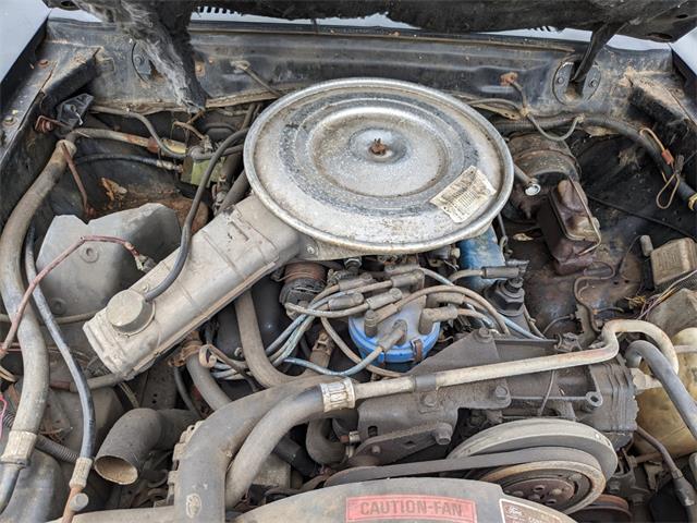 1978 Ford Mustang (CC-1789972) for sale in Gray Court, South Carolina