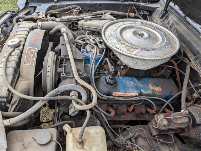 1978 Ford Mustang (CC-1789972) for sale in Gray Court, South Carolina