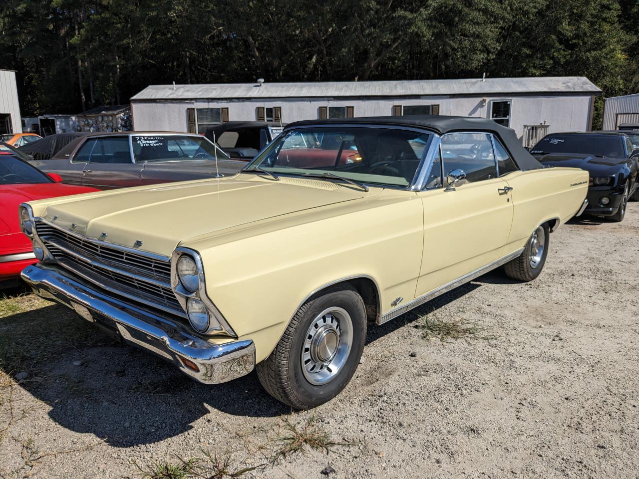 1966 Ford Fairlane For Sale 