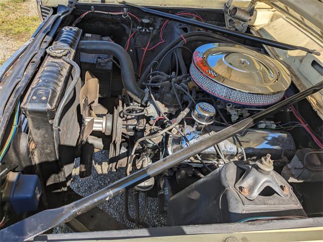 1966 Ford Fairlane (CC-1789975) for sale in Gray Court, South Carolina