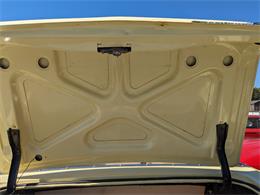 1966 Ford Fairlane (CC-1789975) for sale in Gray Court, South Carolina