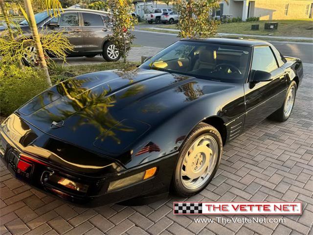 1992 Chevrolet Corvette C4 (CC-1790125) for sale in Riverview, Florida