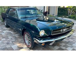 1965 Ford Mustang (CC-1790131) for sale in Tampa, Florida