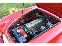 1966 Austin-Healey 3000 Mark III (CC-1791390) for sale in Orange, Connecticut