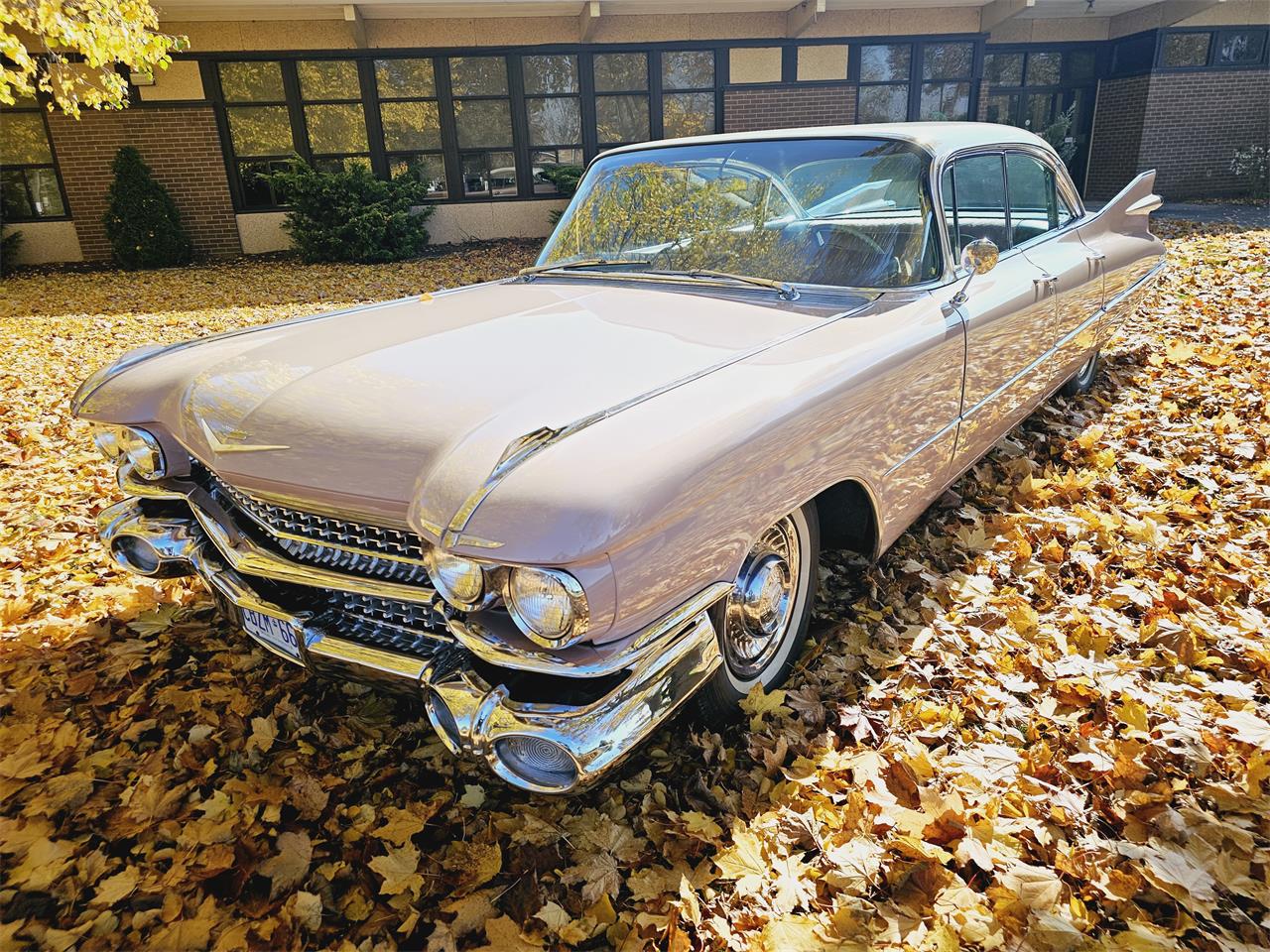 1959 Cadillac Sedan DeVille in Harley, Ontario