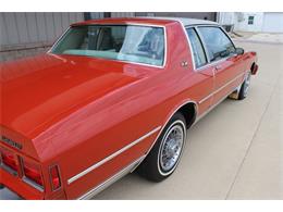 1980 Chevrolet Caprice (CC-1791850) for sale in Orlando, Florida