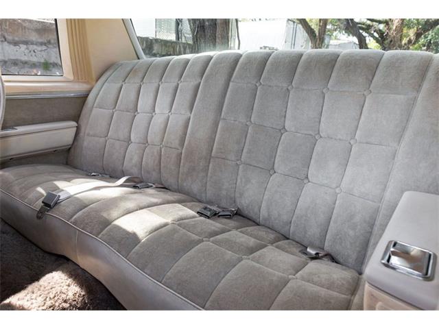 1980 Chevrolet Caprice (CC-1791850) for sale in Orlando, Florida