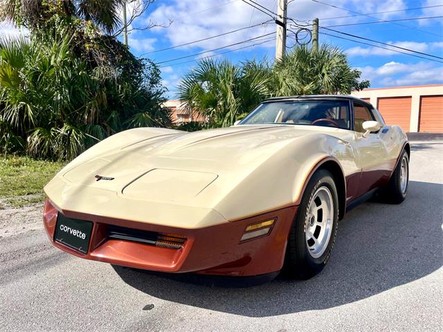 1981 Chevrolet Corvette (CC-1792253) for sale in Pompano Beach, Florida