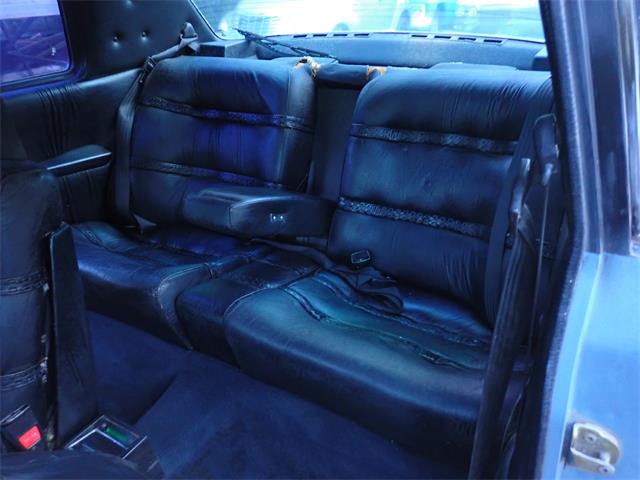 1981 Volvo 262C (CC-1792291) for sale in Phoenix, Arizona