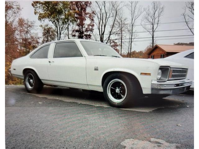 1977 Chevrolet Nova (CC-1792578) for sale in Punta Gorda, Florida