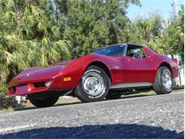 1975 Chevrolet Corvette (CC-1790264) for sale in Palmetto, Florida