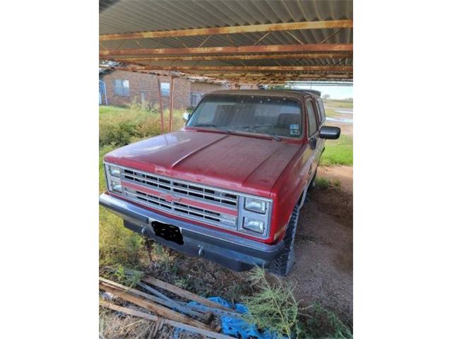 1985 Chevrolet Blazer (CC-1792957) for sale in Cadillac, Michigan