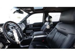 2013 Ford F150 (CC-1793300) for sale in Jackson, Mississippi