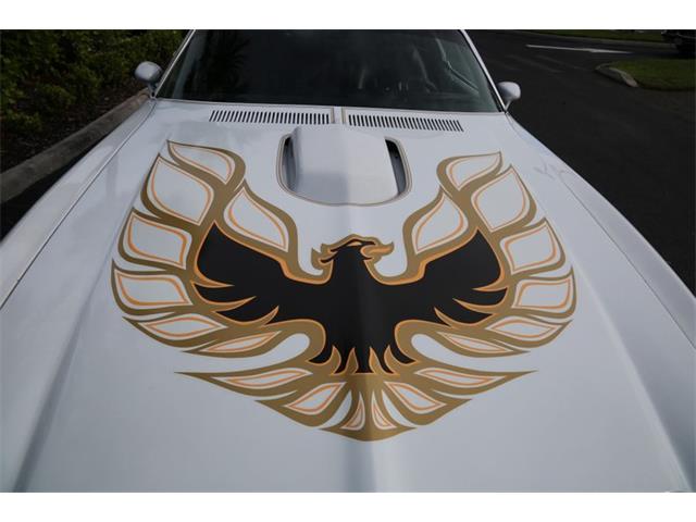 1976 Pontiac Firebird Trans Am (CC-1793410) for sale in Punta Gorda, Florida