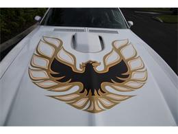 1976 Pontiac Firebird Trans Am (CC-1793410) for sale in Punta Gorda, Florida