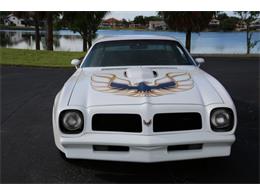 1976 Pontiac Firebird Trans Am (CC-1793410) for sale in Punta Gorda, Florida