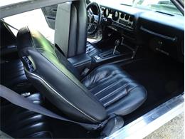 1976 Pontiac Firebird Trans Am (CC-1793410) for sale in Punta Gorda, Florida