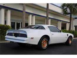 1976 Pontiac Firebird Trans Am (CC-1793410) for sale in Punta Gorda, Florida