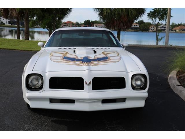 1976 Pontiac Firebird Trans Am (CC-1793410) for sale in Punta Gorda, Florida