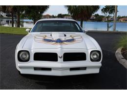 1976 Pontiac Firebird Trans Am (CC-1793410) for sale in Punta Gorda, Florida