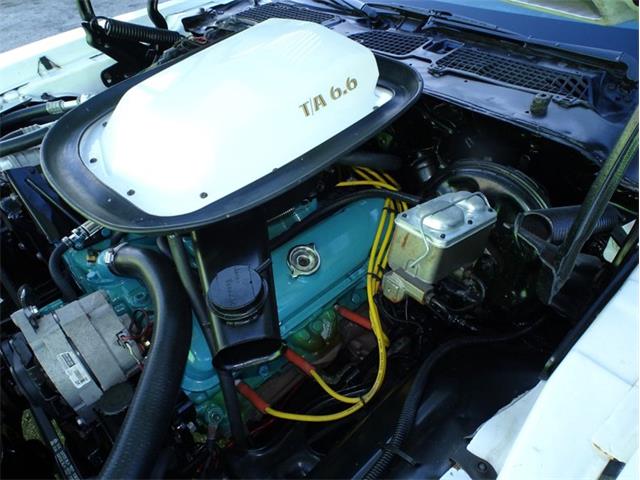 1976 Pontiac Firebird Trans Am (CC-1793410) for sale in Punta Gorda, Florida