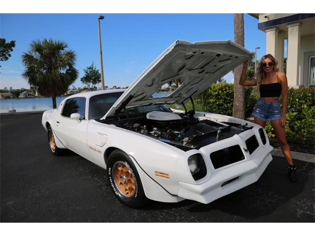 1976 Pontiac Firebird Trans Am (CC-1793410) for sale in Punta Gorda, Florida