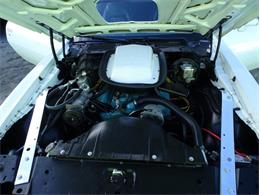 1976 Pontiac Firebird Trans Am (CC-1793410) for sale in Punta Gorda, Florida