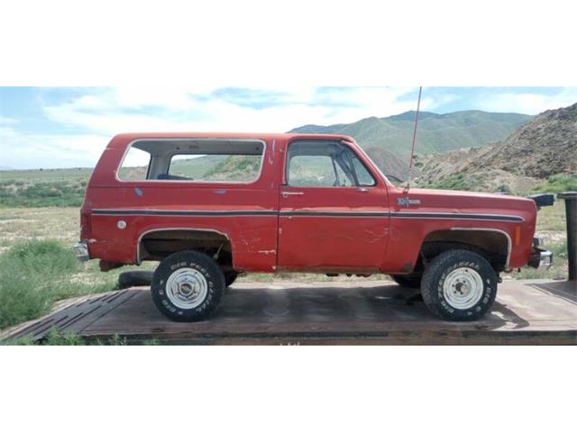 1974 Chevrolet Blazer (CC-1793880) for sale in Cadillac, Michigan