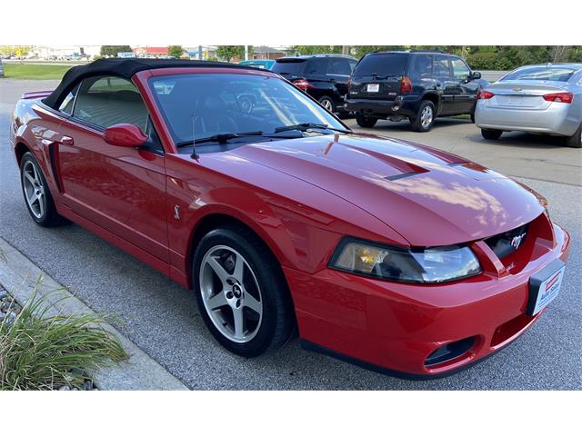 2004 Ford Mustang Cobra (CC-1790408) for sale in Des Moines , Iowa