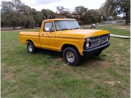 1976 Ford F150 (CC-1794127) for sale in Cadillac, Michigan