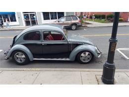 1953 Volkswagen Beetle (CC-1794131) for sale in Cadillac, Michigan
