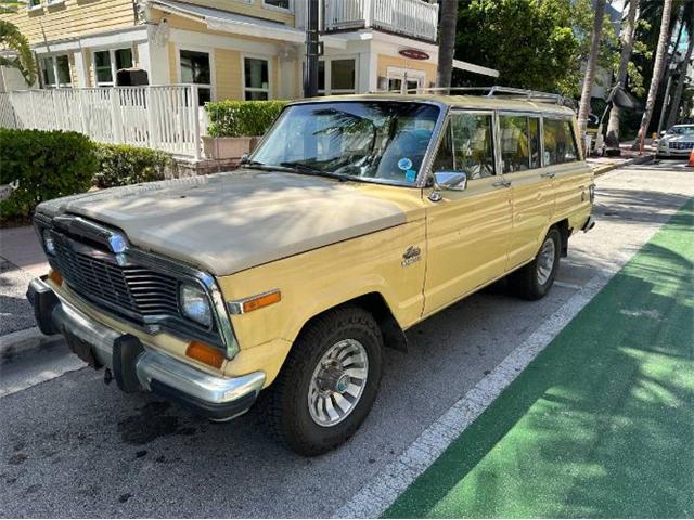 1980 Jeep Wagoneer (CC-1794166) for sale in Cadillac, Michigan