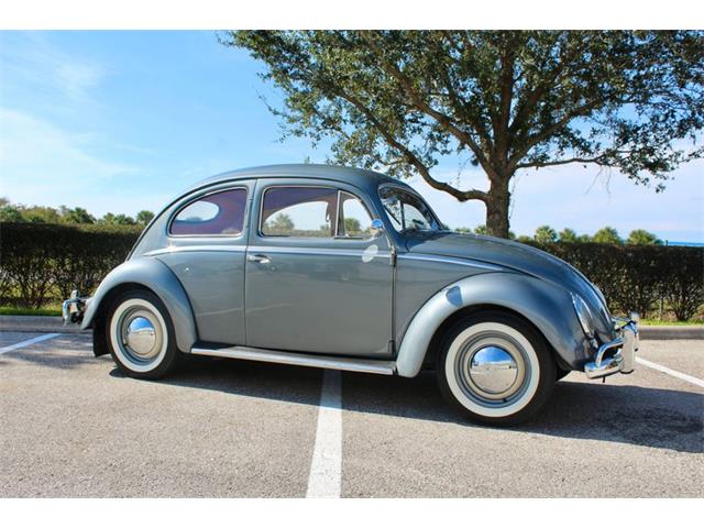 1954 Volkswagen Beetle (CC-1794504) for sale in Sarasota, Florida