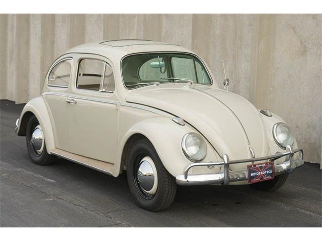 1964 Volkswagen Beetle (CC-1794510) for sale in St. Louis, Missouri