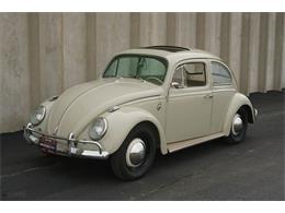 1964 Volkswagen Beetle (CC-1794510) for sale in St. Louis, Missouri