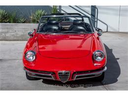 1967 Alfa Romeo Duetto (CC-1790485) for sale in Beverly Hills, California