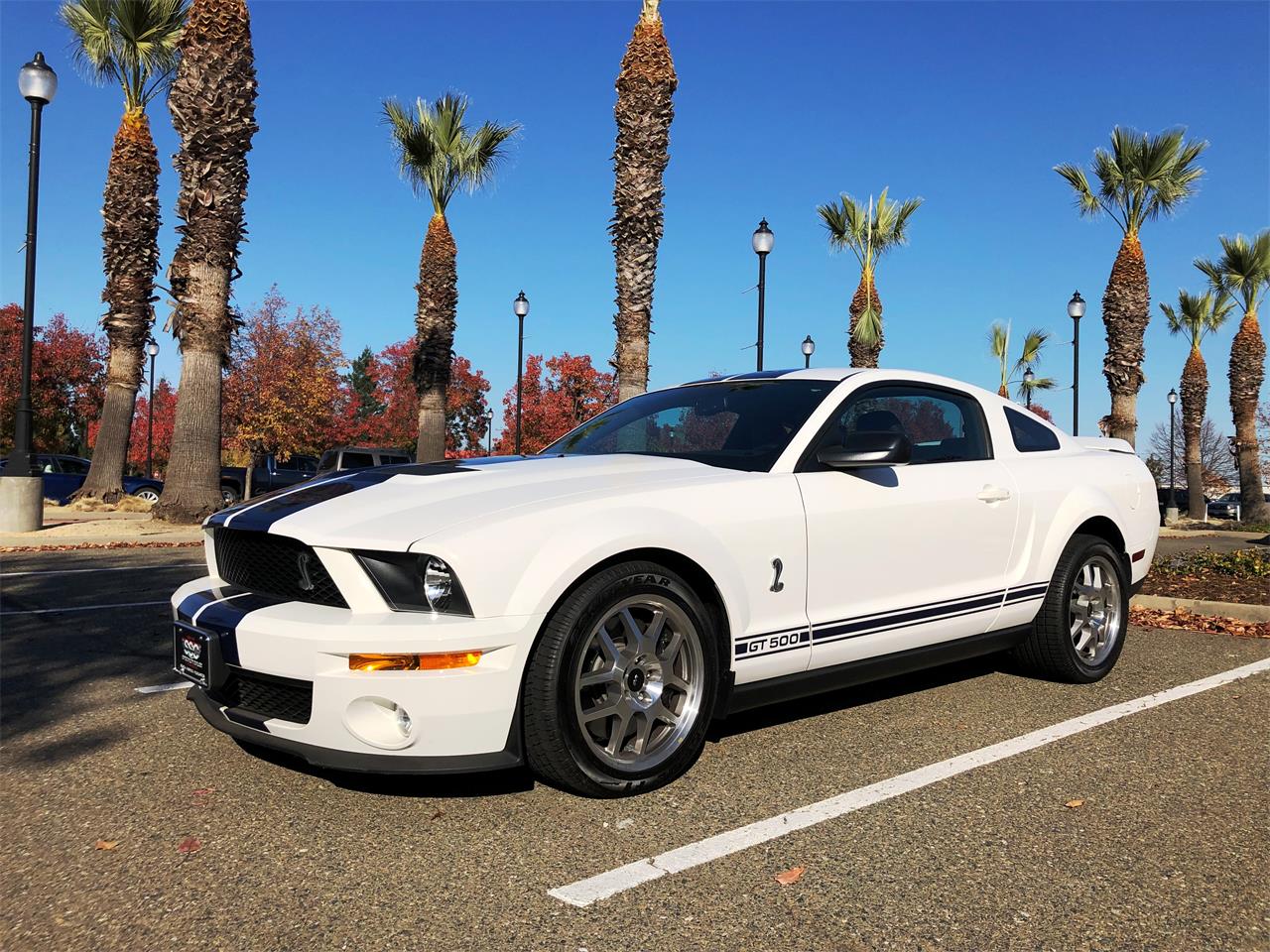 Sitemapcdatahttpsnindreferenzcom2007 Ford Shelby Gt500 For Sale