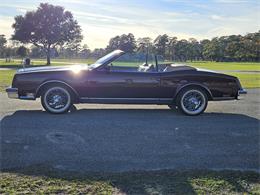 1982 Buick Riviera (CC-1795140) for sale in Houston , Texas