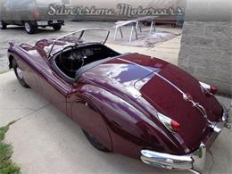 1955 Jaguar XK (CC-1795243) for sale in North Andover, Massachusetts