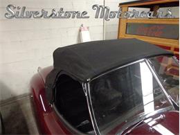 1955 Jaguar XK (CC-1795243) for sale in North Andover, Massachusetts
