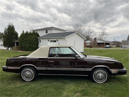 1983 Chrysler LeBaron (CC-1795431) for sale in Latrobe, Pennsylvania