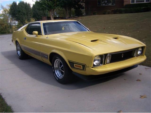 1973 Ford Mustang (CC-1796089) for sale in Cadillac, Michigan