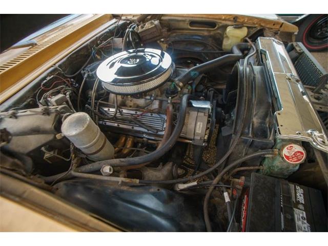 1977 Chevrolet Nova (CC-1796506) for sale in St. Louis, Missouri