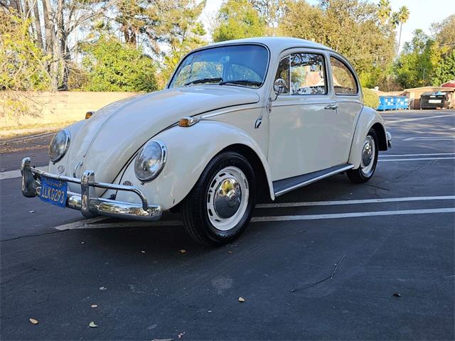 1966 Volkswagen Beetle (CC-1796818) for sale in Woodland Hills, California