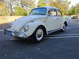 1966 Volkswagen Beetle (CC-1796818) for sale in Woodland Hills, California