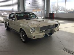 1965 Ford Mustang Shelby GT350 (CC-1796906) for sale in Calgary, Alberta