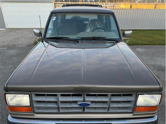 1990 Ford Bronco II (CC-1796978) for sale in Staunton, Illinois