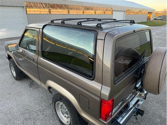 1990 Ford Bronco II (CC-1796978) for sale in Staunton, Illinois