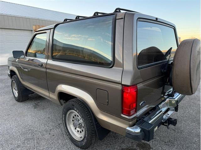 1990 Ford Bronco II (CC-1796978) for sale in Staunton, Illinois