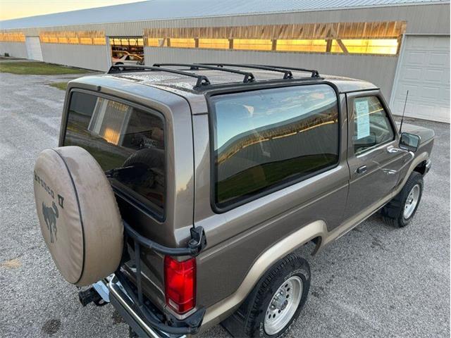 1990 Ford Bronco II (CC-1796978) for sale in Staunton, Illinois